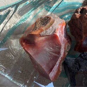 Small Raw Petrified Wood Stone – Natural Fossil Mineral Specimen